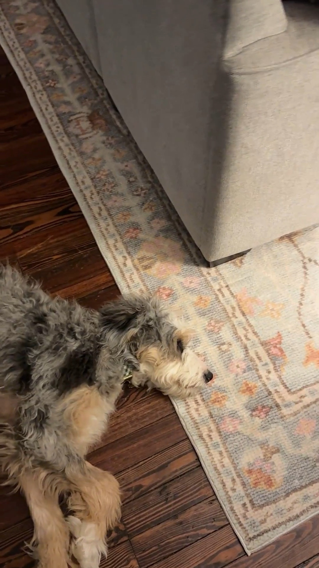 We got a new rug from the Annie Selke Black Friday sale (still happening!) & I love it! Our old one was an Annie Selke, too, but it was cotton & not as pet/kid friendly from a cleaning perspective… this one is washable! It’s so soft, too! 

#LTKCyberWeek #LTKHoliday #LTKHome