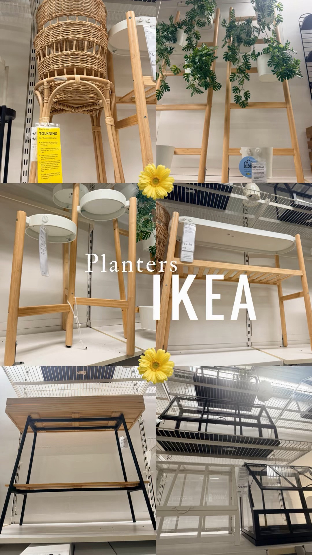 🪴 IKEA Planter Finds! 🪴

Looking for an easy way to refresh your space? These IKEA planters are stylish, affordable, and perfect for bringing a touch of greenery indoors or out. From modern to classic designs, there’s a planter for every home and every plant lover! 🌿✨

#IKEAFinds #PlanterDecor #PlantLovers #HomeDecor #AffordableDecor

#LTKHome