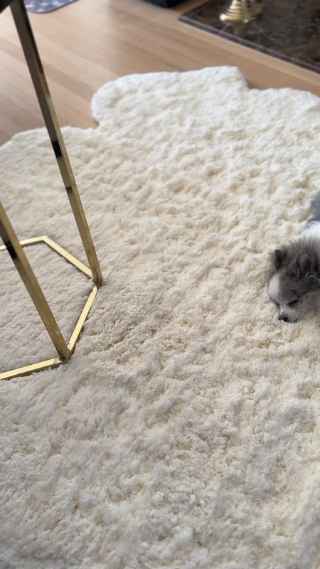 Softest rug ever & dog approved! (Dog not for sale) 🥰  soft texture of this faux hide rug is the perfect accent piece in any room. And it’s cruelty-free! Designed to fit seamlessly in virtually any decor scheme. Pet-friendly and easy to clean!

ON SALE - use code: USA 

#LTKhome #LTKVideo #LTKsalealert