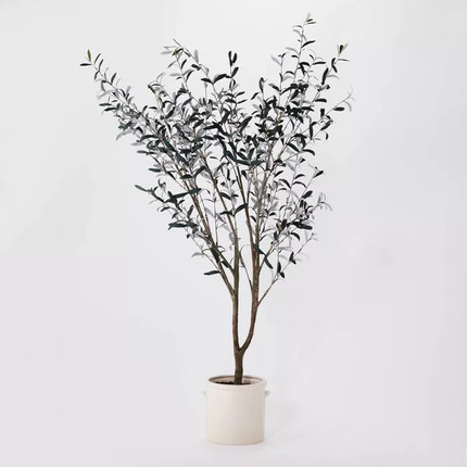 Click for more info about 76.5"x 30" Artificial Olive Tree in Ceramic Pot - Threshold™ designed with Studio McGee