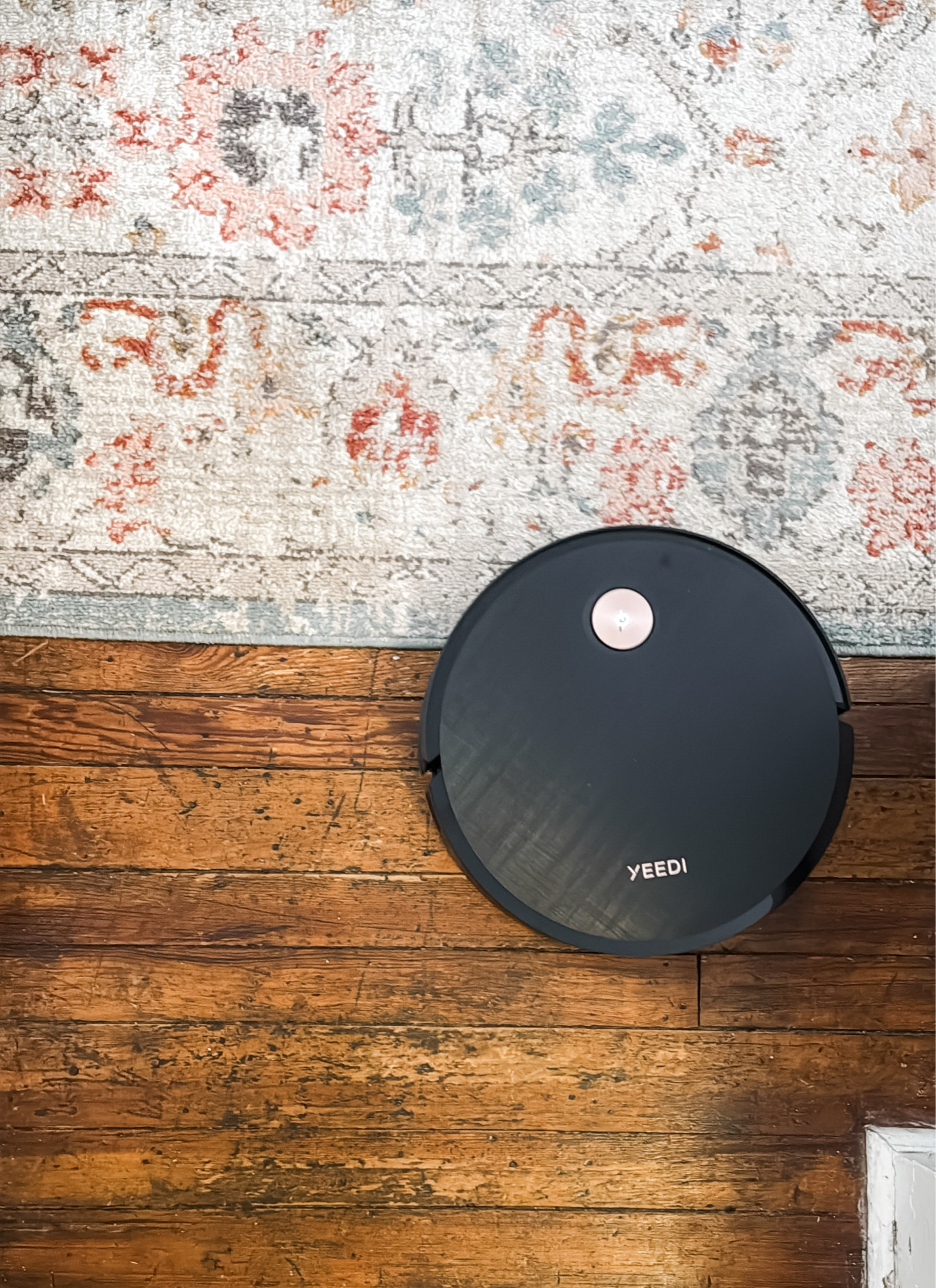 POV: you're a robot vacuum trying to survive two kids, a dog, and snack time. 😂 This vacmop has quickly become one of my favorite home upgrades. It vacuums and mops while I focus on literally anything else, and it's been amazing for staying ahead of crumbs, dust, dog hair, and all the mysterious floor debris that appears in a house with kids. It's definitely a splurge, but after using it for a few weeks, I completely understand why people rave about robot vacuums.

#LTKmomlife #LTKHome #LTKKids