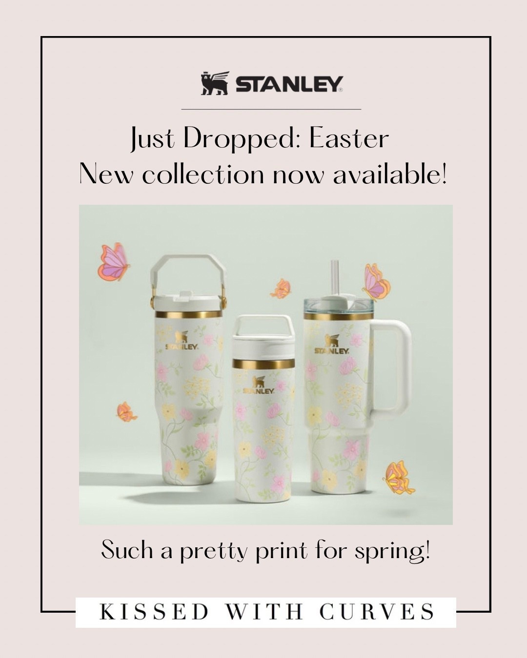 Easter Basket Ideas! New Stanley Easter Collection Just Dropped! Such a beautiful design and such pretty colors for spring! Great gift idea for Easter basket stuffers and any spring occasion! Available in several sizes and styles. 

#LTKHome #LTKTravel #LTKSeasonal