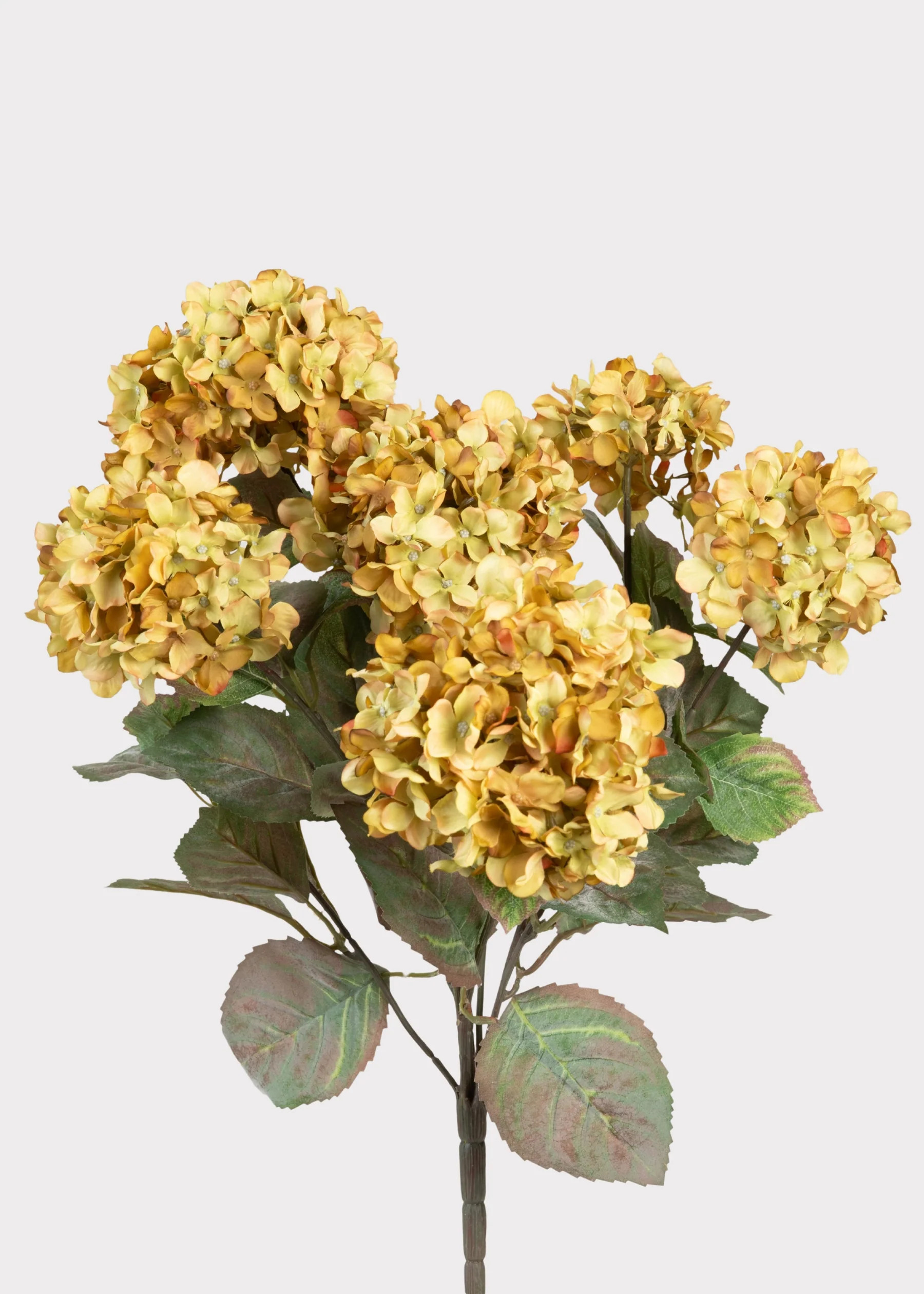 Vintage Green Hydrangea Bush | Premium Artificial Flowers | Afloral | Afloral