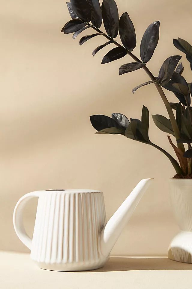 Rustic Stoneware Watering Can | Anthropologie (US)