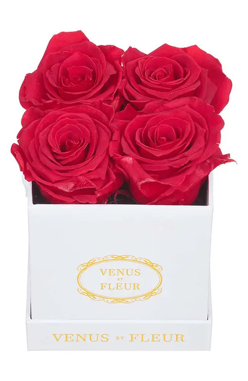 Venus ET Fleur Classic Le Petit Eternity Roses in Red at Nordstrom | Nordstrom