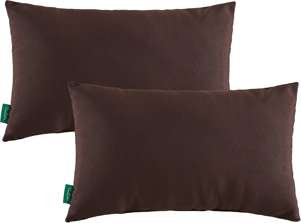 Indoor Outdoor Lumbar Pillows,Waterproof Outdoor Pillows Set of 2 for Patio Furniture,12×20 Inch... | Amazon (US)