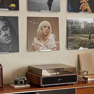 Clear Vinyl Record Shelf Wall Mount 8 Pack,Acrylic Album Record Holder Display,Vinyl Record Shelf... | Amazon (US)
