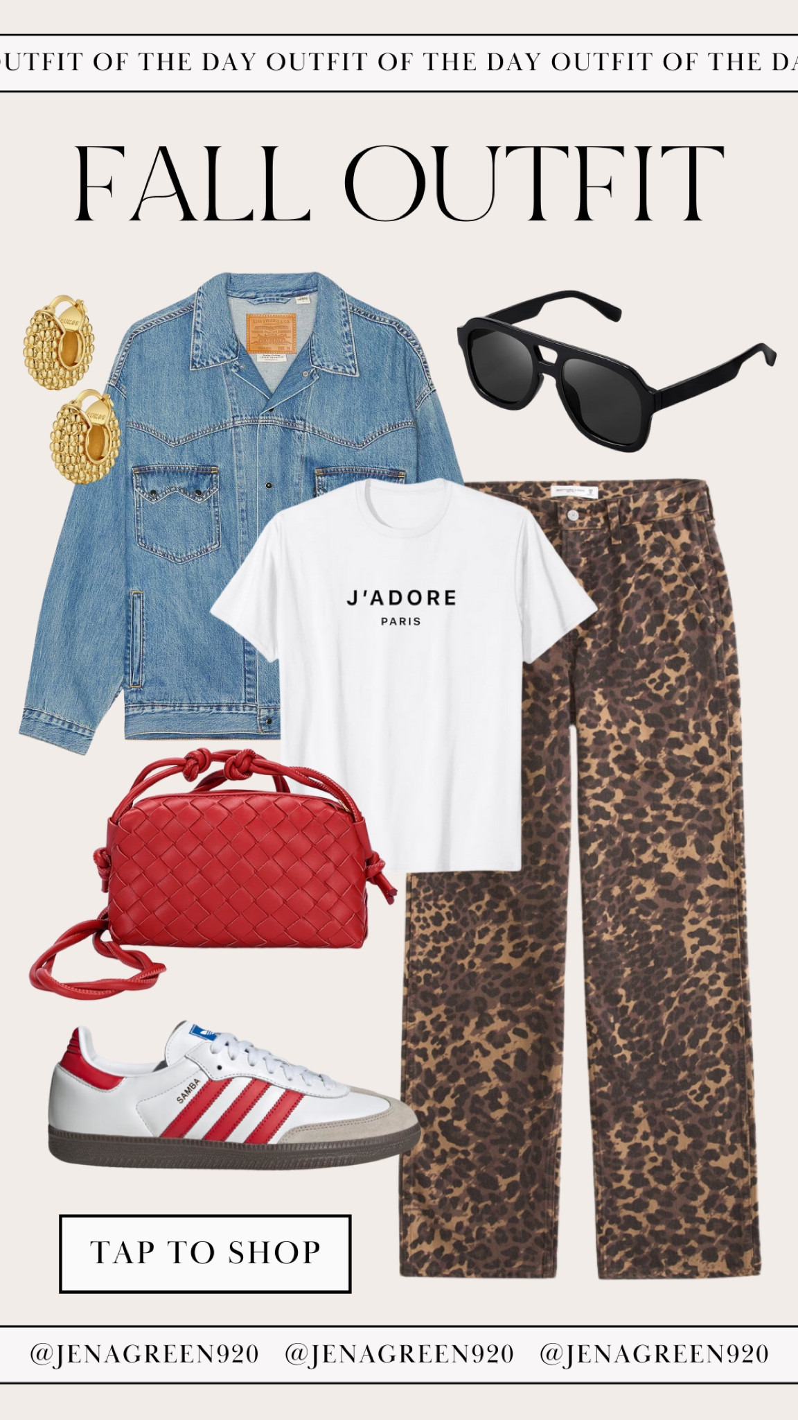 Fall Outfit | Casual Outfit | Leopard Pants 

#LTKStyleTip #LTKFindsUnder50 #LTKFindsUnder100