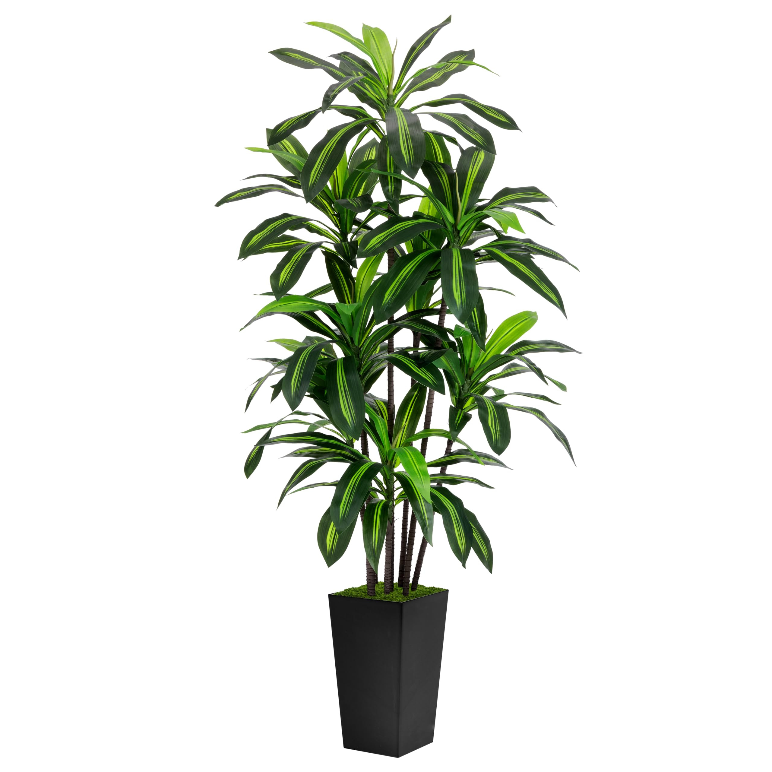 Artificial Dracaena Tree 6FT - Faux Tree with Black Tall Planter - Fake Tropical Yucca Floor Plan... | Amazon (US)