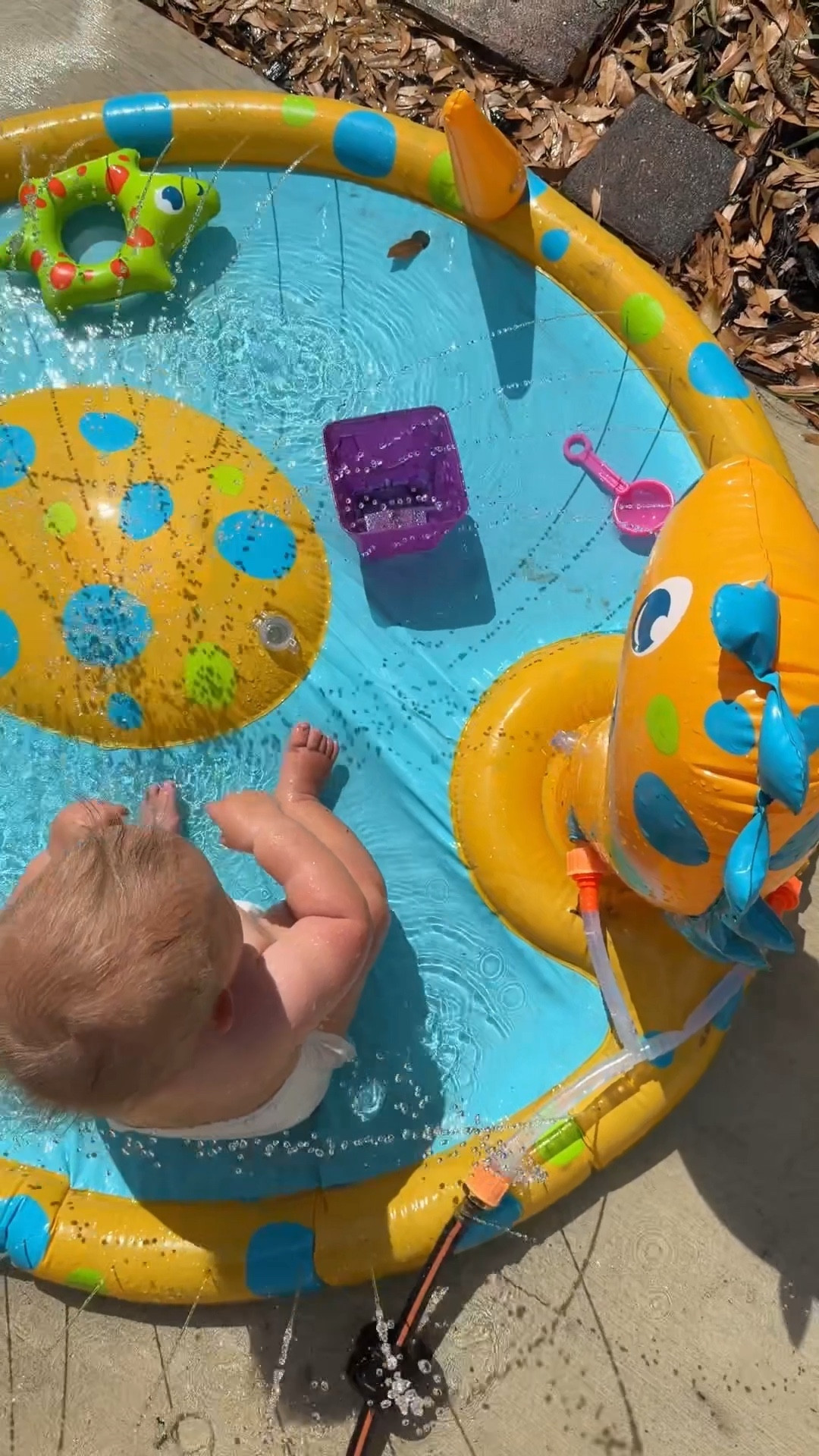 The perfect baby & toddler backyard addition for warmer weather

#LTKmomlife #LTKSwim #LTKBaby