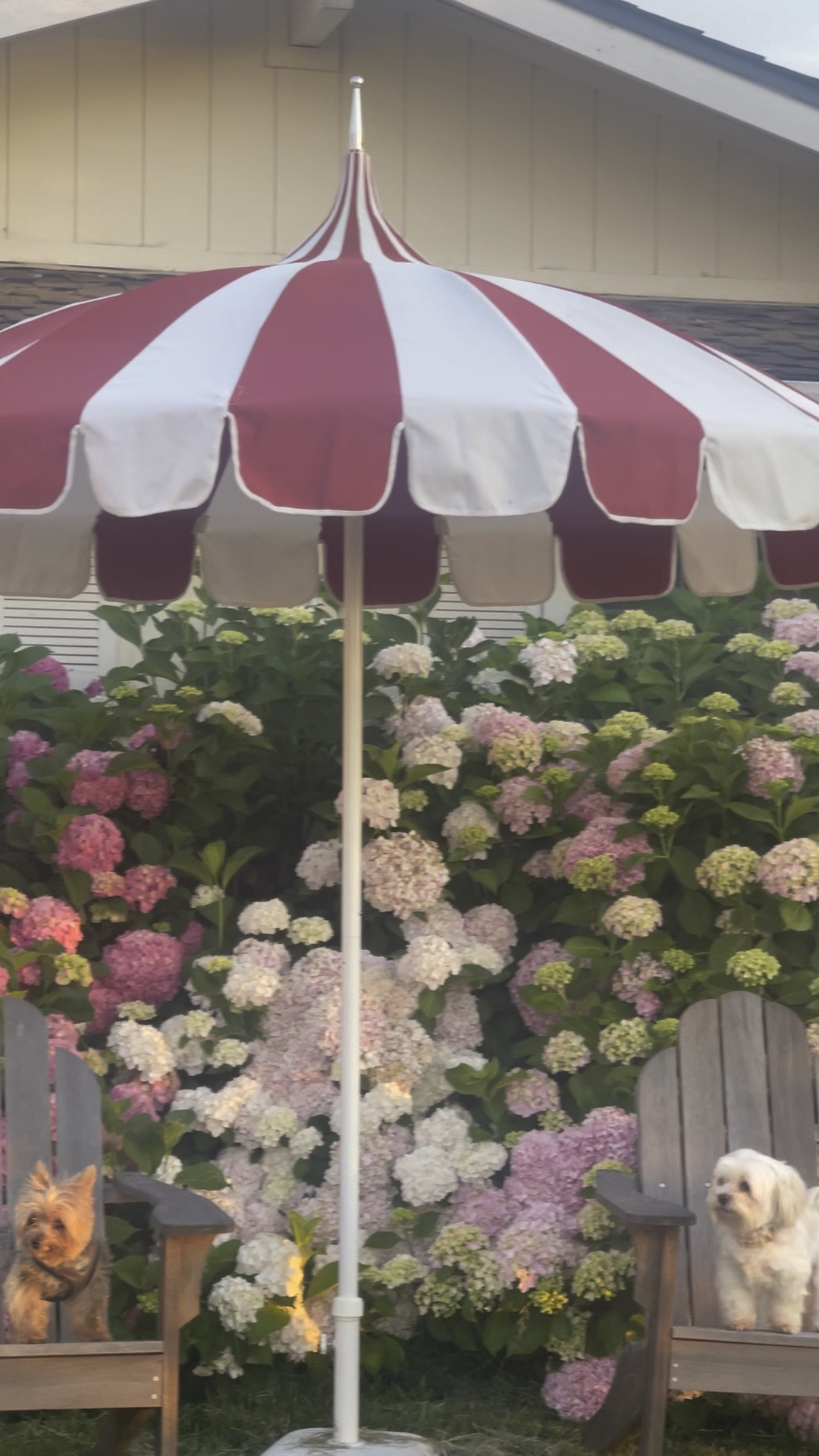 Pagoda patio umbrella sale. 4th of July sale. Red and white patio umbrella. Classic patio umbrella. Retro inspired patio umbrella. ❤️🤍🐶🐶🤍❤️

#LTKFind #LTKhome #LTKsalealert