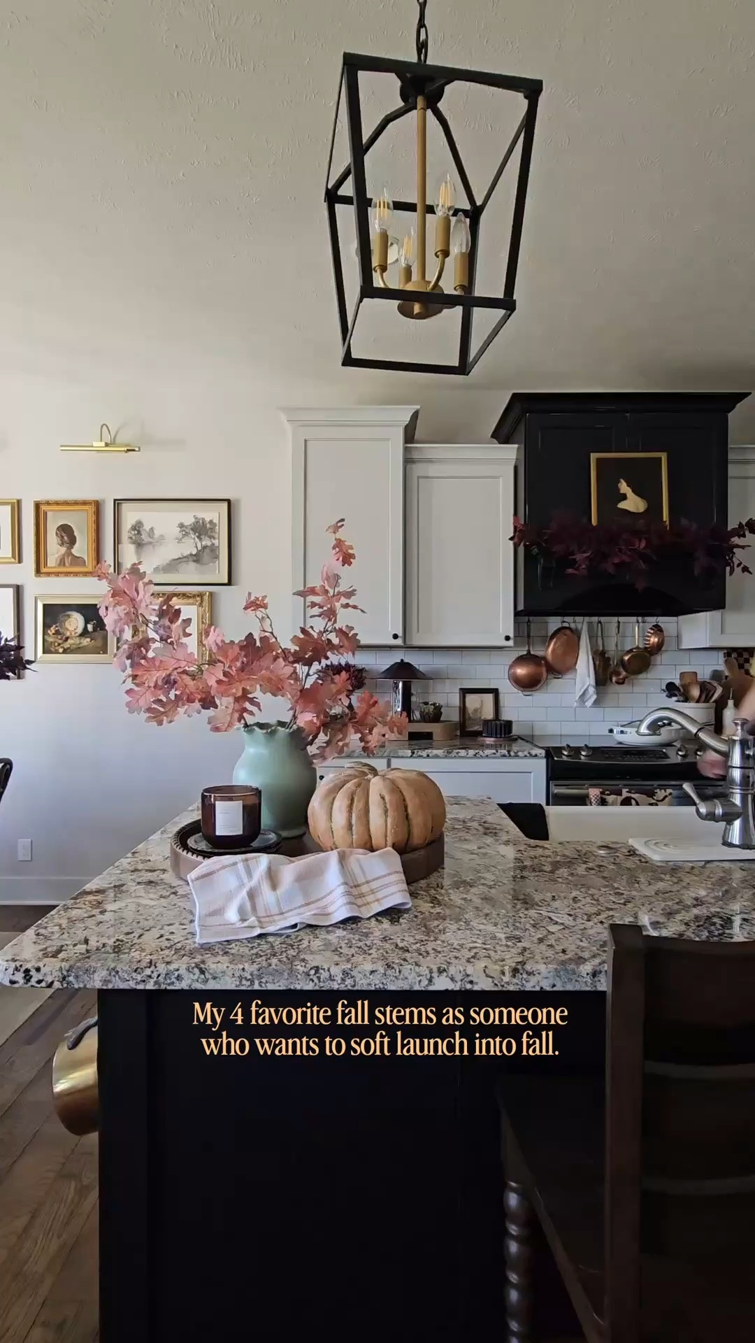 Some of my favorite fall stems just to ease into fall

#LTKSeasonal #LTKHome #LTKdayinmylife