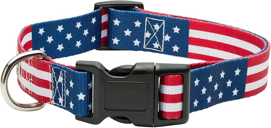 American Flag Dog Collar in 5 Different Sizes Classic (Medium) | Amazon (US)