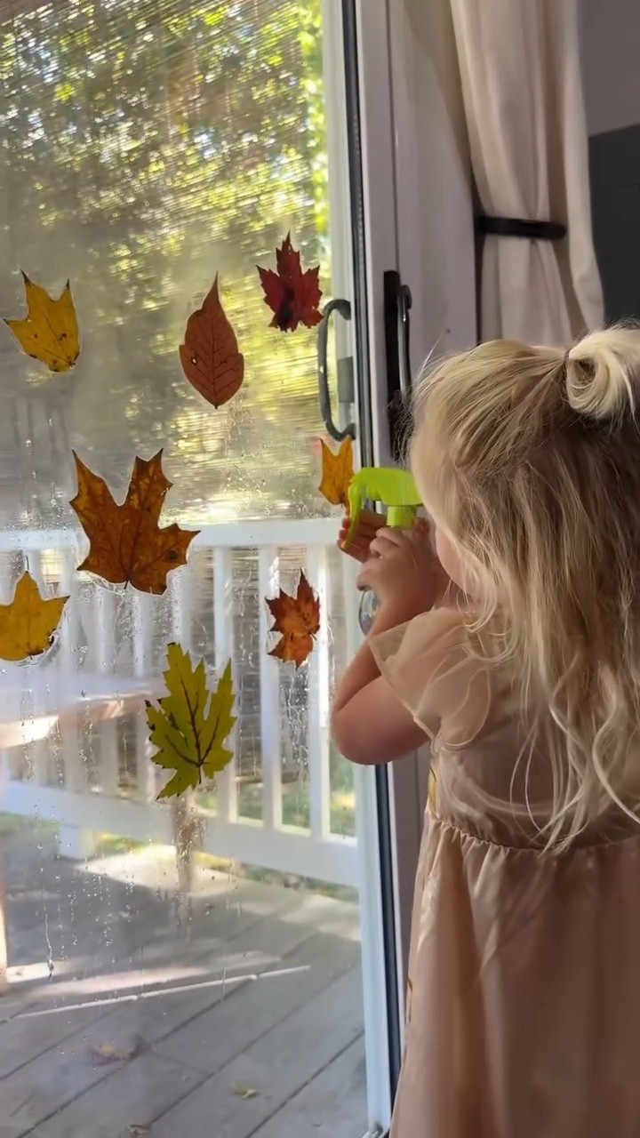 easy activity to do with your toddler this fall 🍂🍁


🤎 collect leaves outside
🤎 laminate the leaves + cut them out
🤎 give your toddler a spray bottle with water to stick the leaves on the window! 

#fallcrafts #fallactivities #easycrafts #toddleractivities #autumnleaves

#LTKHoliday #LTKSeasonal #LTKKids