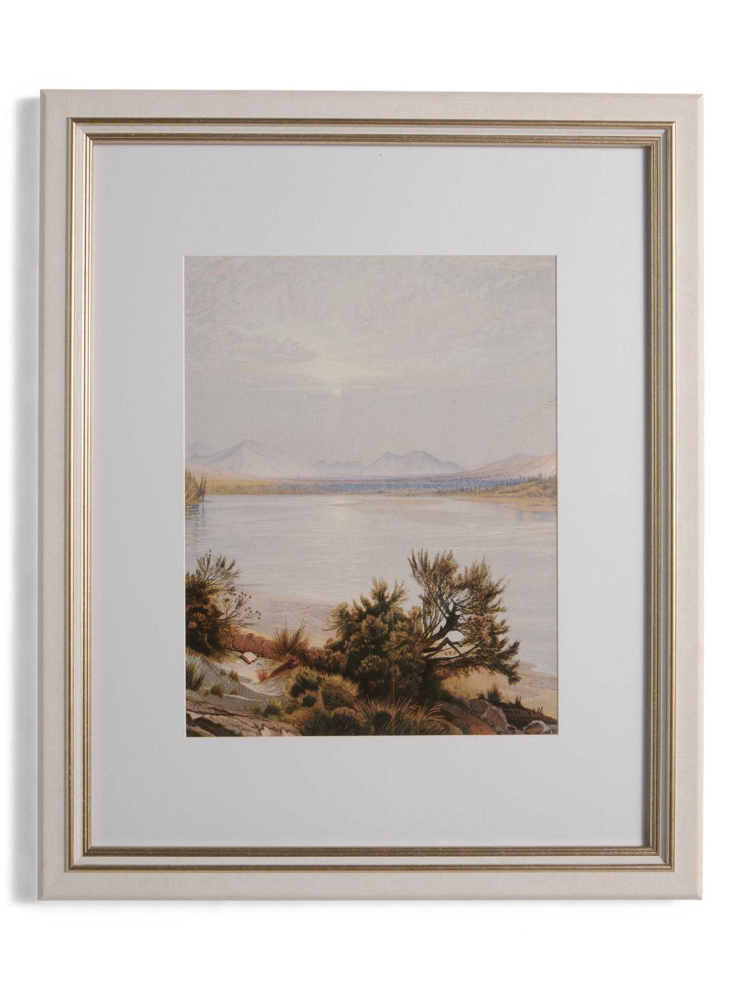 16x20 Matted To 11x14 Double Gilded Wall Portrait Frame | TJ Maxx