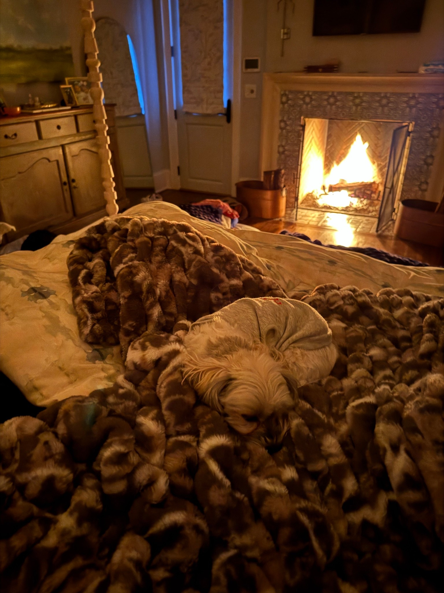 These blankets have not left our sides...even our dog loves them! We have the large and we ALL absolutely love them! 

Use code CATHERINE35 for 35% off


#LTKmomlife #LTKKids #LTKHome