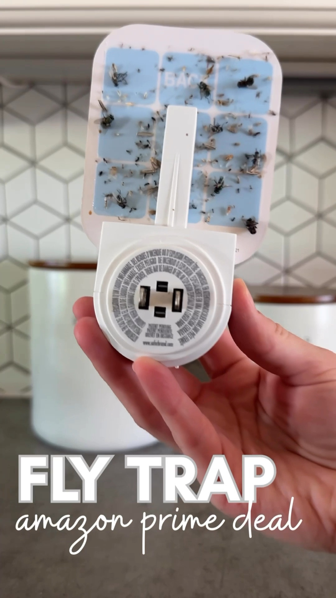 This might be one of my all-time favorite Amazon finds EVER. It catches every single flying bug that tries to move in, and I don’t know how I lived without it. Fruit flies? Gnats? Annoying mystery bugs? Gone.

It’s on sale for Prime Day, so if you’ve got bugs trying to test your patience this summer, trust me—you want this.



#PrimeDay #AmazonFinds #HomeEssentials #FlyTrap #BugFreeHome #AmazonPrimeDay

#LTKSaleAlert #LTKFindsUnder50 #LTKHome