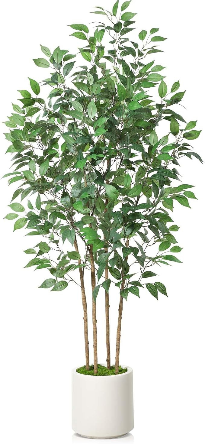 Ficus Artificial Tree 6ft Fake Silk Plant for Home Decor Indoor, Faux Floor Tree in White Imitati... | Amazon (US)