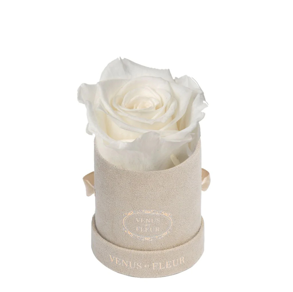 Le Mini™ Round | Venus ET Fleur