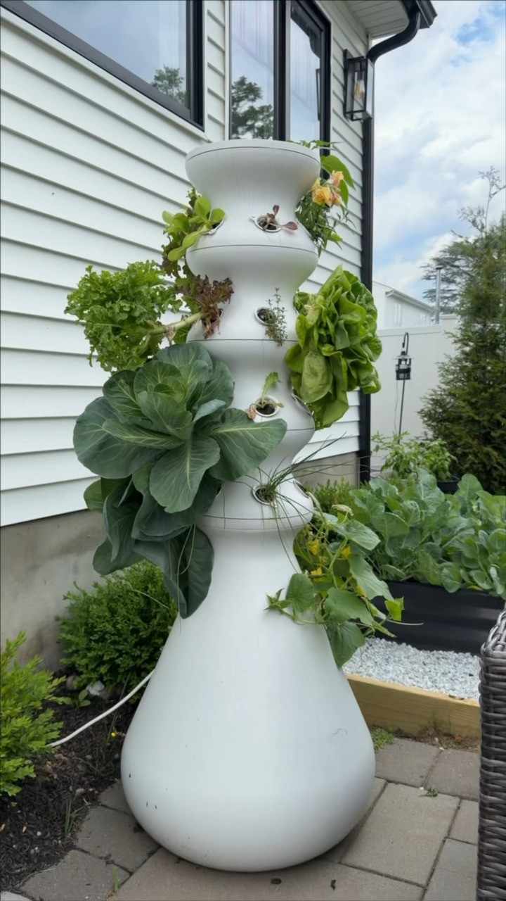 The easiest way to grow tons of your own veggies no watering or space needed🥬  

 #LTKHome