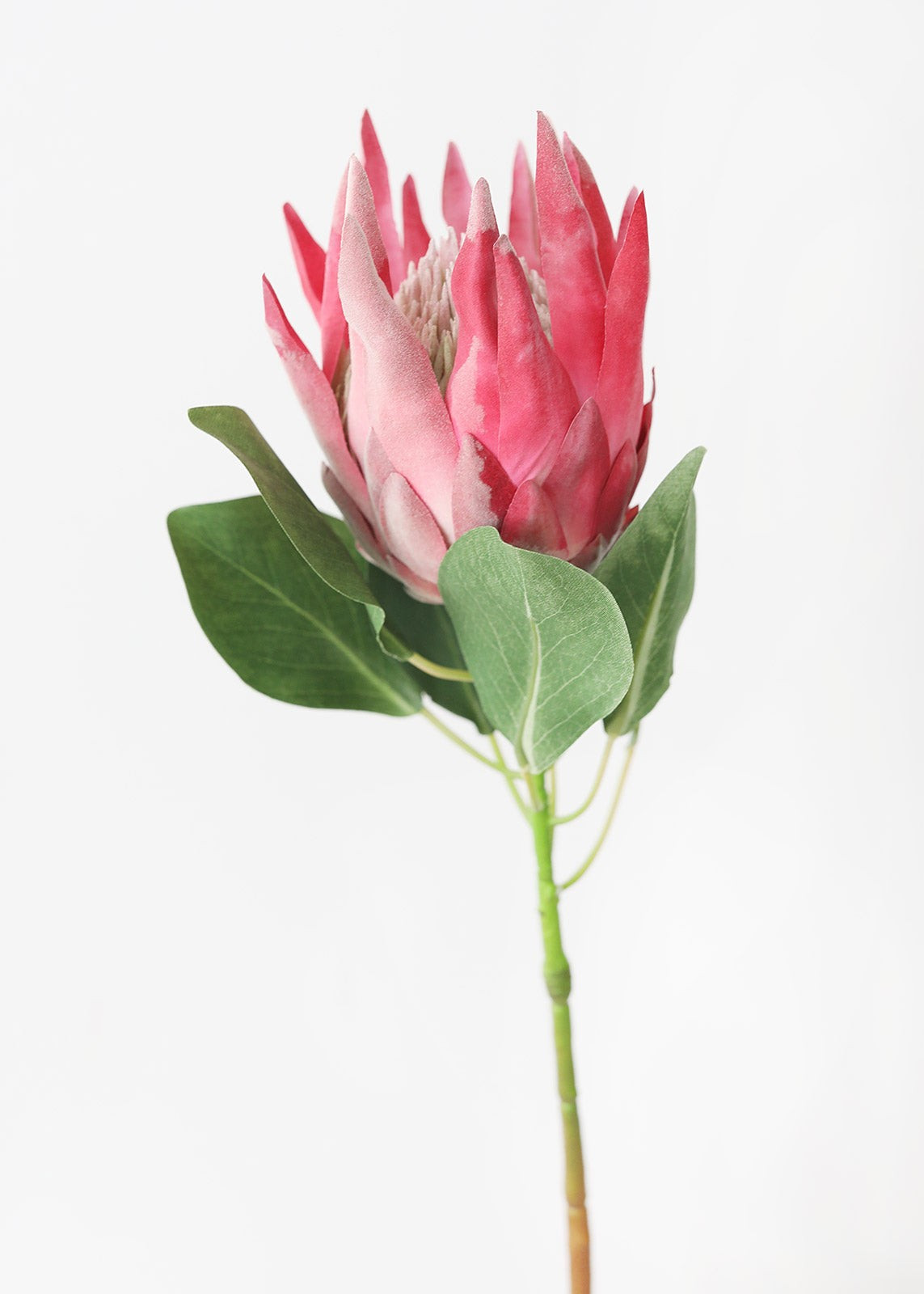 Pink Artificial King Protea Flower - 29" | Afloral (US)