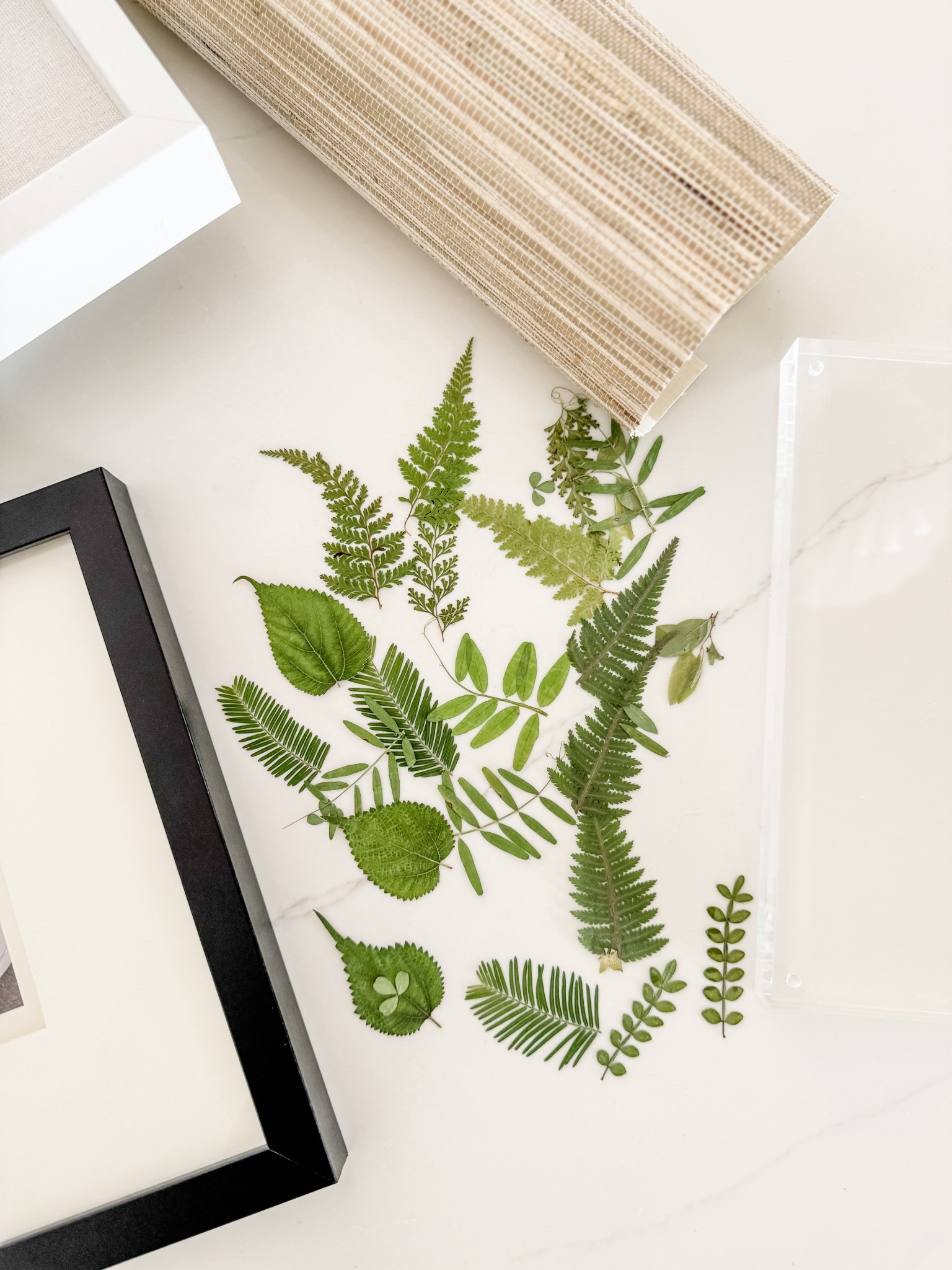 Easy DIY Art Idea! I ordered these pressed botanicals from Amazon and paired them with some of my favorite frames. For the matted frame, I wanted the botanical to pop so I layered it on top of some leftover grasscloth wallpaper that I had from another project. Both frames turned out so pretty and the finished product is a fraction of the cost of what I’ve seen in some home decor shops.

pressed botanicals, botanical wall art, DIY botanical art, framed pressed botanicals, Amazon pressed botanicals, found it on Amazon, Amazon home decor find, botanical wall decor, DIY art project, affordable wall art, easy DIY home decor, budget friendly art idea, botanical frame art, grasscloth wallpaper art, matted botanical print, gallery wall botanicals, custom framed botanicals, nature inspired wall art, DIY framed artwork, Amazon art supplies, botanical print decor, DIY home project, botanical decor Amazon, inexpensive wall art, wall art on a budget, botanical wall prints, botanical picture frame, layering art with wallpaper, grasscloth frame background, Amazon craft find, home decor DIY, botanical gallery wall, organic modern wall art, botanical home accents, timeless botanical prints, DIY budget decor, art idea under $50, botanical frame styling, pressed flower wall art, botanical accent wall, simple DIY art, frame your own art, inexpensive home styling

#LTKHome #LTKStyleTip #LTKFindsUnder50