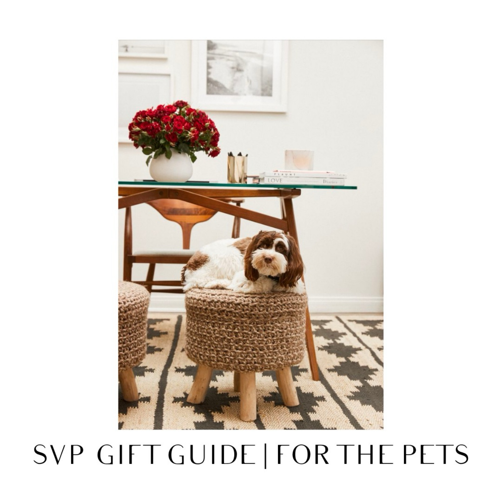 SVP Gift Guide | For the Pets

#LTKfamily #LTKGiftGuide