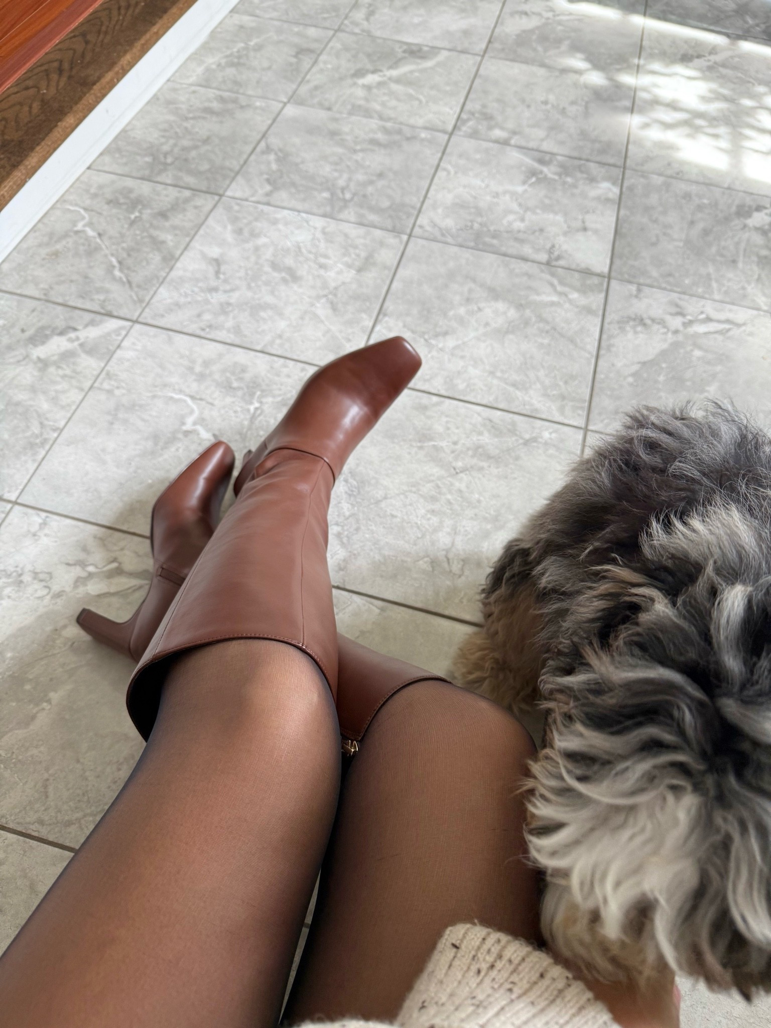The best knee high boots for girlies with short legs! They just came out in a couple more colors too! True to size, I sized up a half size to wear with thicker socks.

@DSW

#LTKPetite #LTKSeasonal #LTKSaleAlert