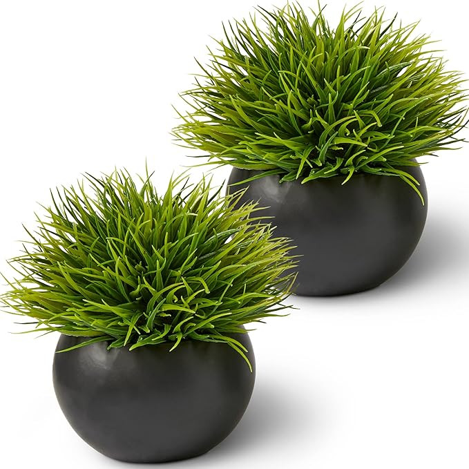 SEEKO Fake Plants for Home Décor (2-Pack) Bathroom Décor, Shelf Décor, Office Décor, Masculin... | Amazon (US)