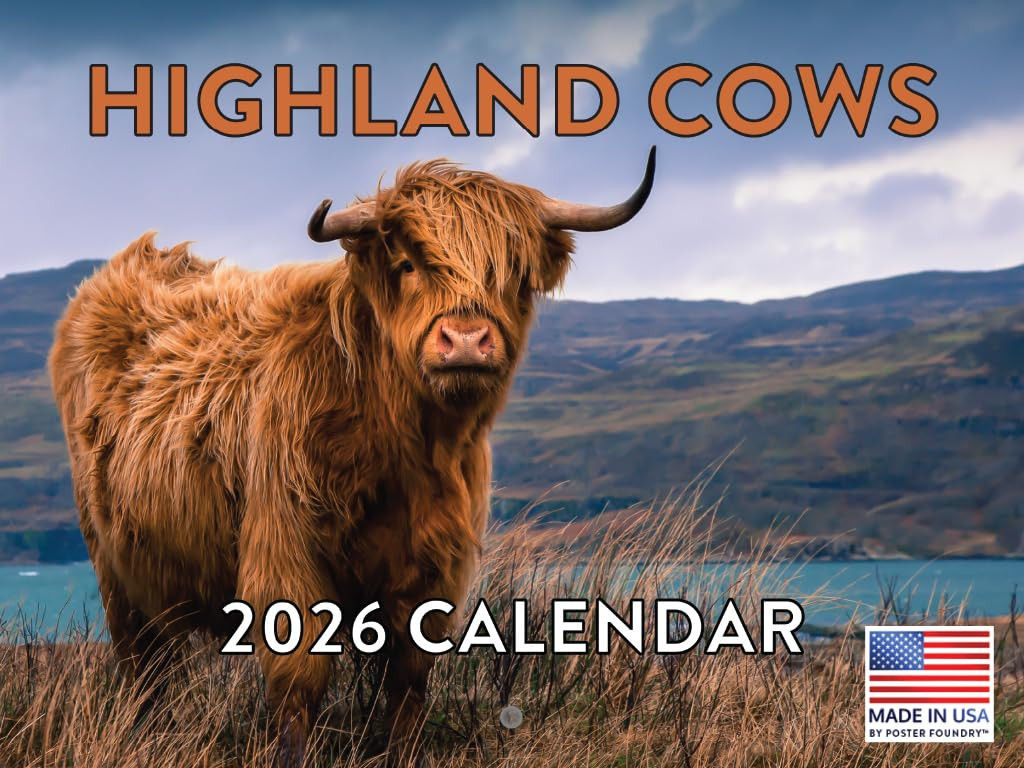 Highland Cow Calendar 2026 Scottish Gifts Hyland Hairy Coo Monthly Wall Calender 12 Month | Ameri... | Amazon (US)