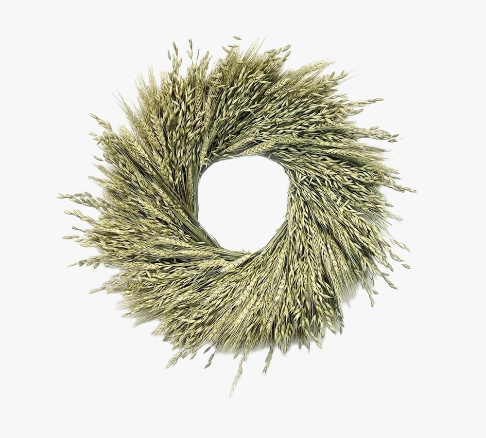 Dried Fields of Gold Wreath | Pottery Barn (US)