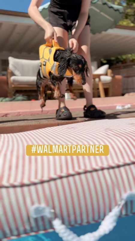 I’ve got all the Essentials for your pups this summer!!! Everything can be found on @walamart
#walmartpartner

#LTKFamily #LTKHome #LTKSeasonal