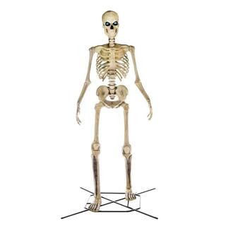 Home Accents Holiday 12 ft Giant-Sized Skeleton with LifeEyes(TM) LCD Eyes 21SV22082 | The Home Depot
