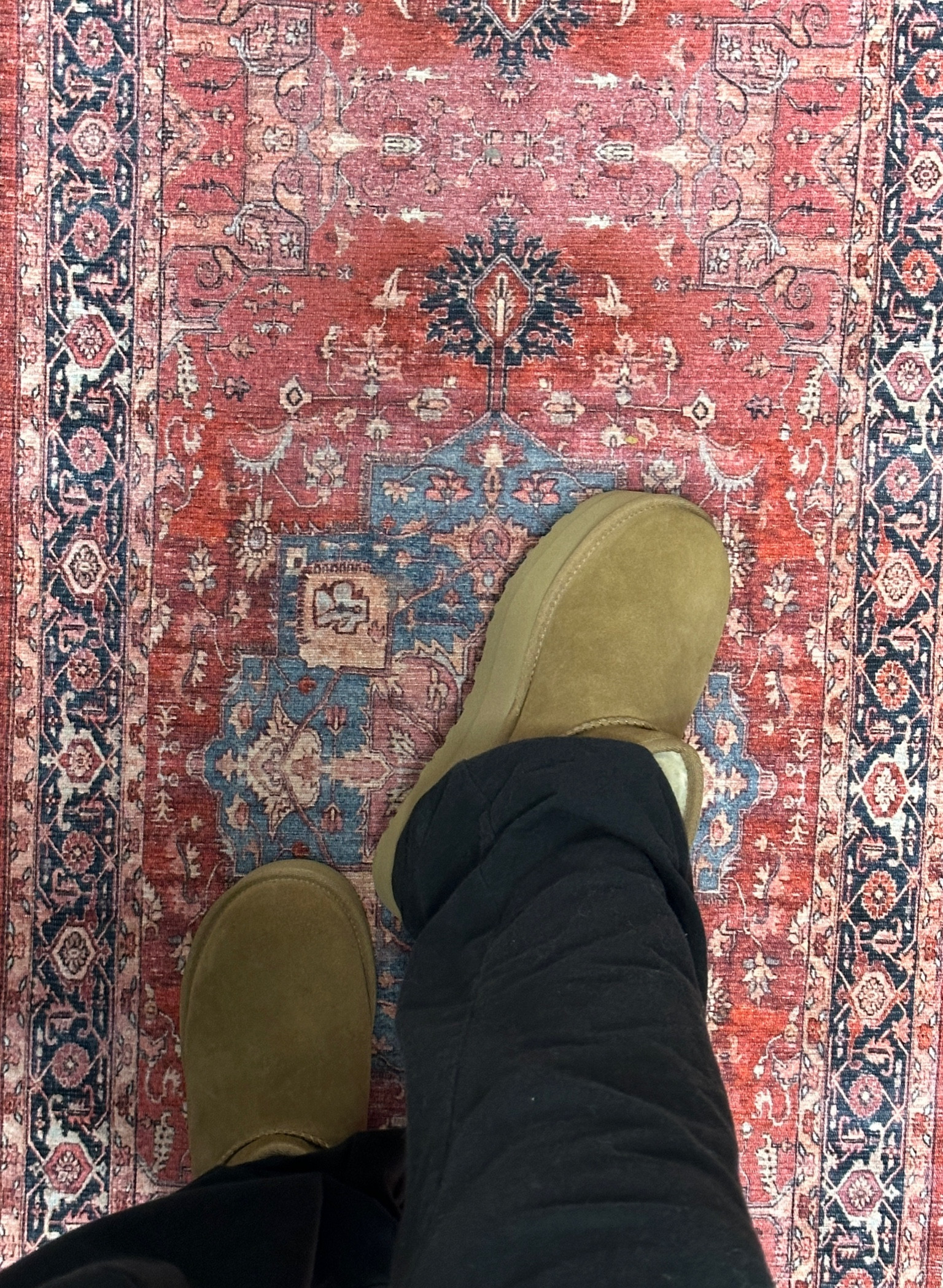 Ugg platforms & Skims moment !!

#LTKShoeCrush #LTKFindsUnder100 #LTKGiftGuide