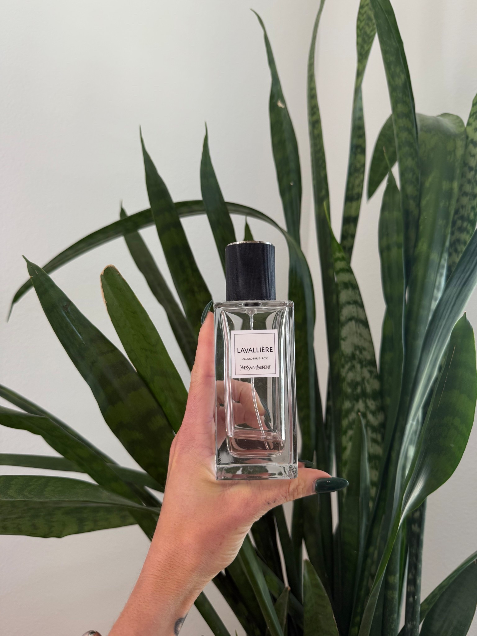 the scent worth a memory 🤍 @yslbeauty Lavalliere is rooted in rose and fig, giving it this sophisticated yet soft aura - as you can see I’m obsessed

#LTKBeauty #LTKGiftGuide #LTKWedding