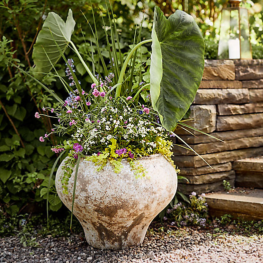 Barnacle Vase Planter, Dark Neutral | Terrain