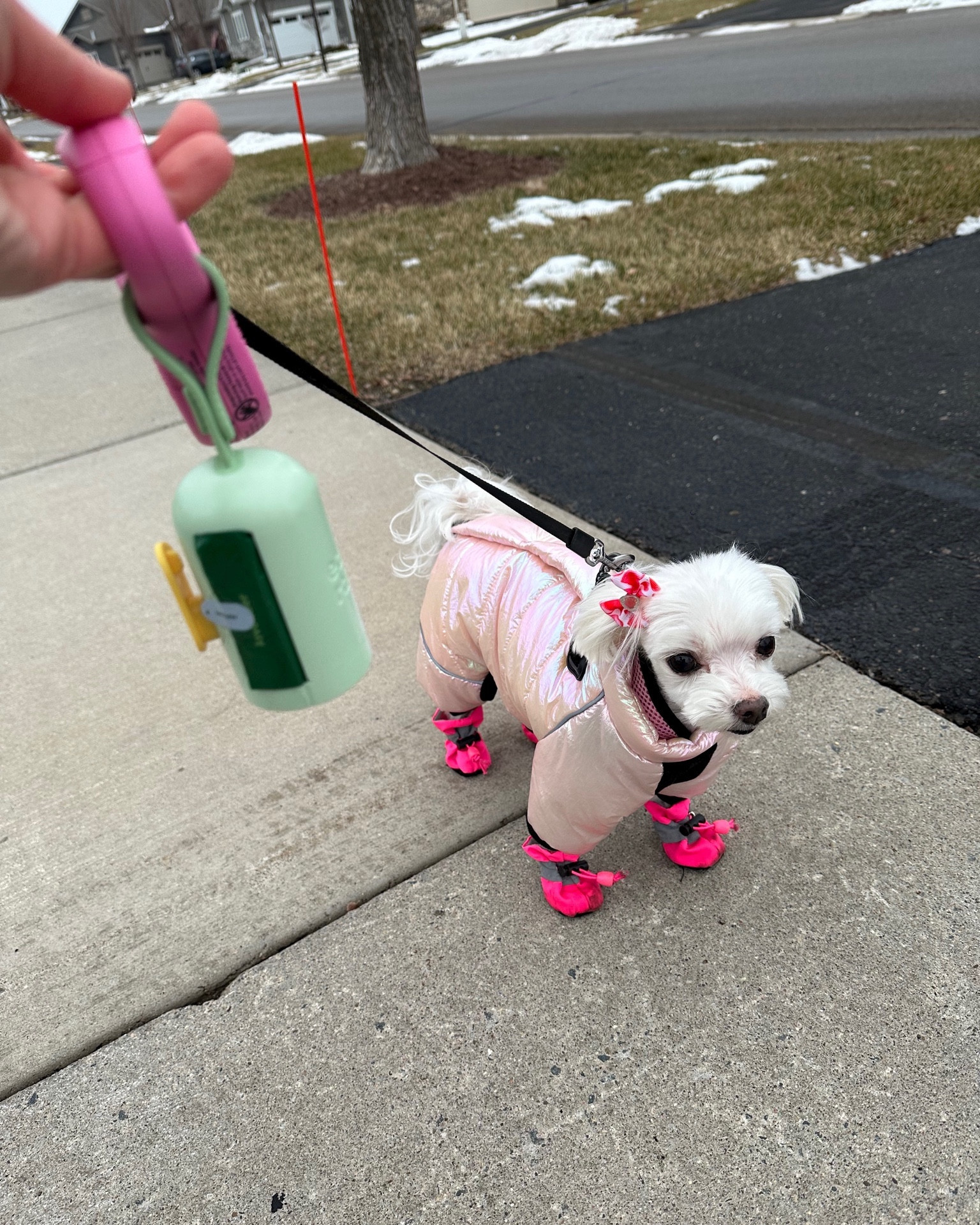 Pink winter dog snow suit in size small, pink dog boots, earth rated poop bag dispenser in lavender scent #LTKMostLoved 

#LTKfindsunder50 

#LTKSeasonal