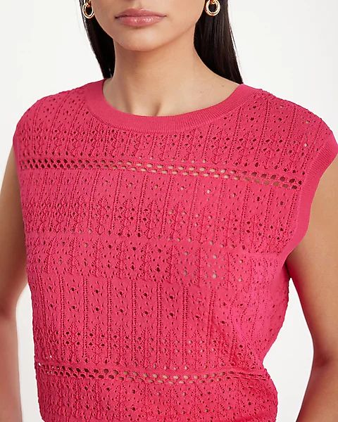 Crochet Crew Neck Sweater Vest | Express (Pmt Risk)