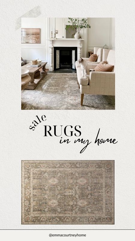 Our living room rug is on sale for Black Friday right now at wayfair. We love this loloi rug - it also cleans up well if there are spills/other accidents! 

#LTKstyletip #LTKhome #LTKCyberWeek