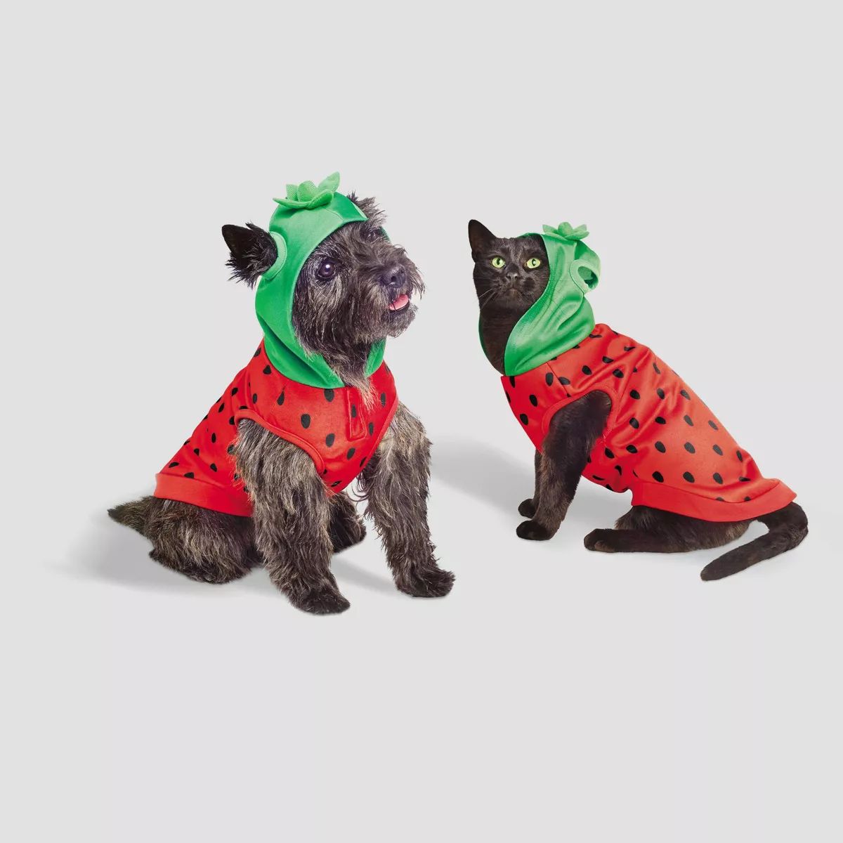 Basic Halloween Strawberry Cat and Dog Hoodie - Hyde & EEK! Boutique™ | Target