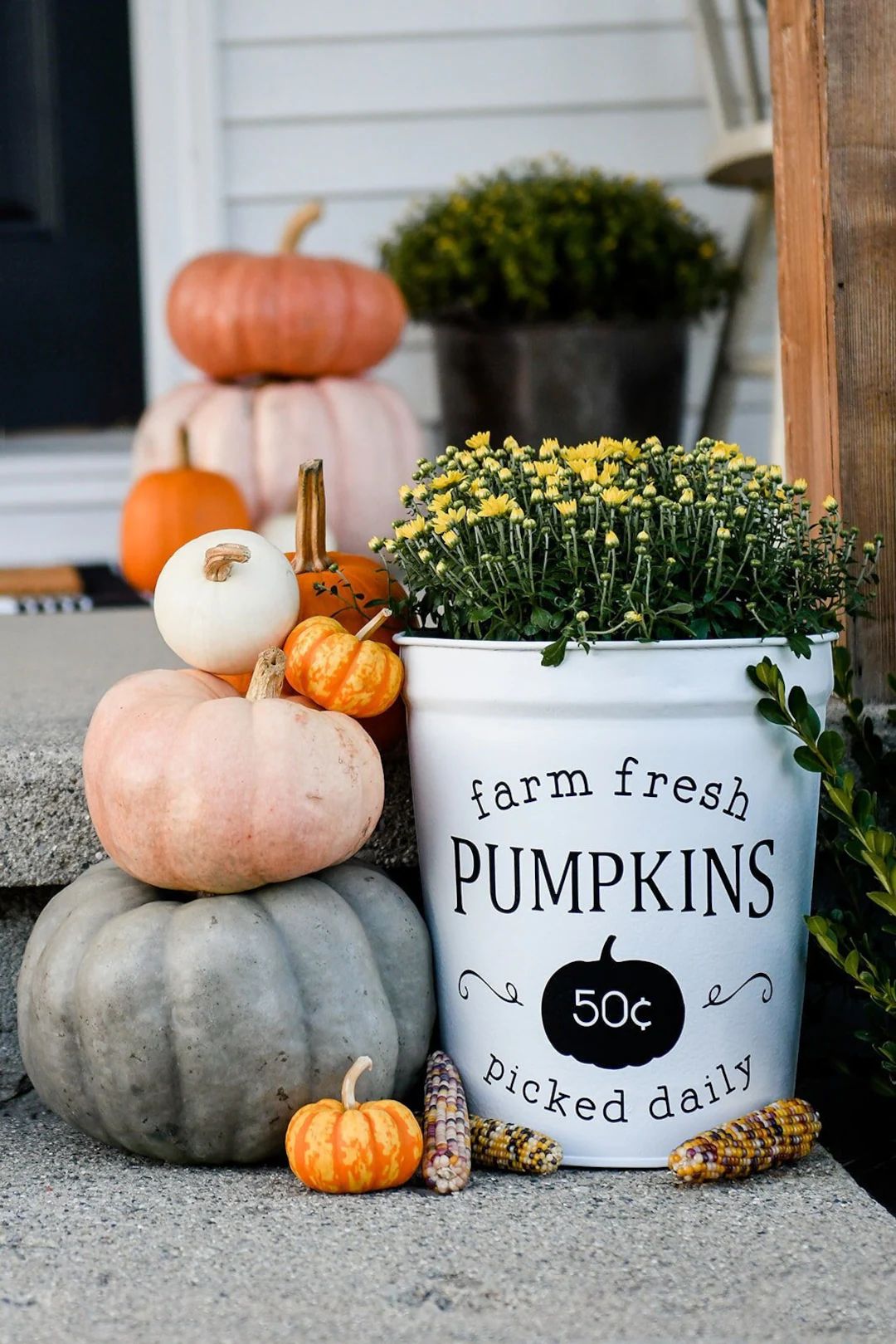 Fall Farmhouse Pumpkin Bucket Tall Pumpkin Bucket for Mums - Etsy | Etsy (US)
