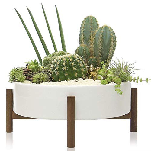 Kimisty 10 Inch Mid Century Large Round Succulent Planter Bowl with Drainage, White Ceramic Pot with | Amazon (US)