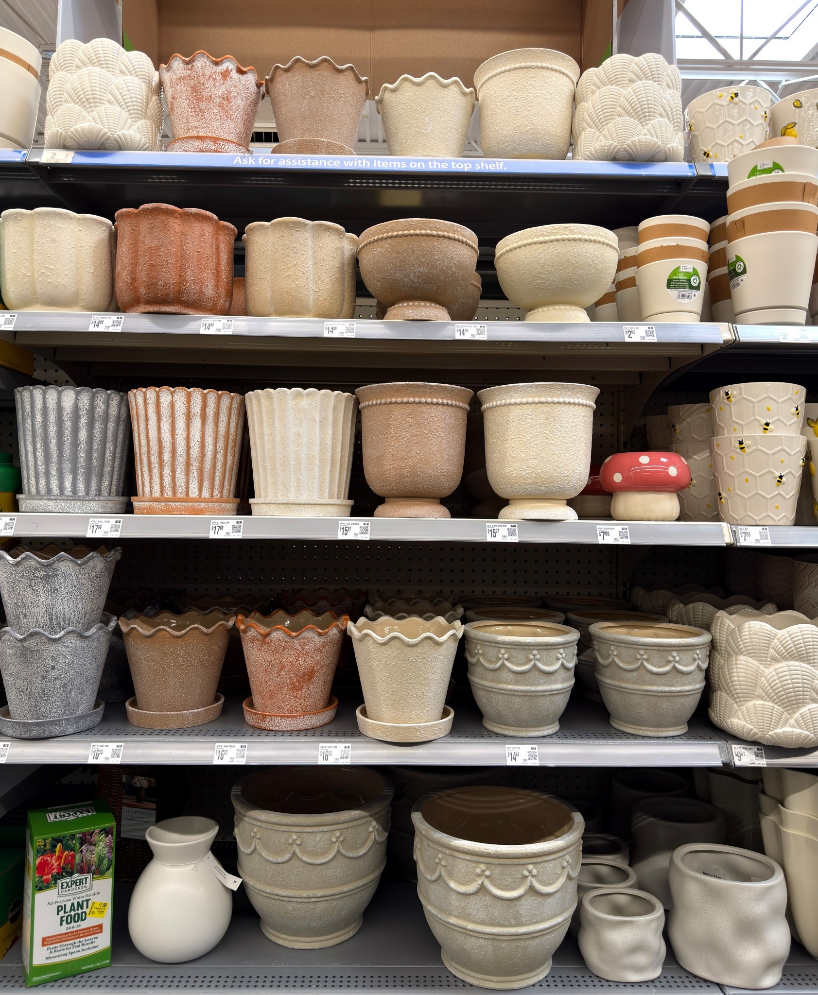 Beautiful planters 


•planters •home decor 

#LTKSeasonal #LTKHome