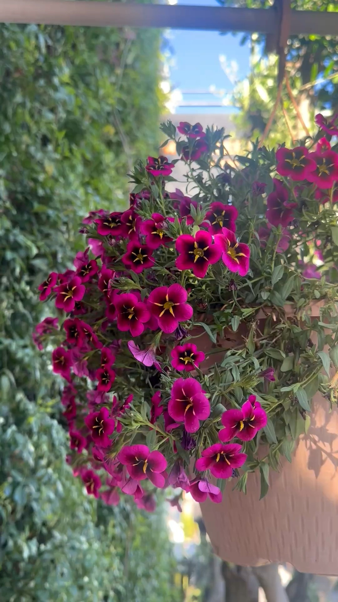 Happy International Women’s Day — celebrating strength, creativity, and the incredible women who inspire us every day.


#InternationalWomensDay
#WomensDay
#CelebrateWomen
#WomenInspire
#EmpoweredWomen
#StrongWomen
#WomenSupportingWomen

#LTKTravel #LTKvlog #LTKdayinmylife