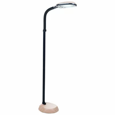 Sunlight 63.5" Task Floor Lamp | Wayfair North America