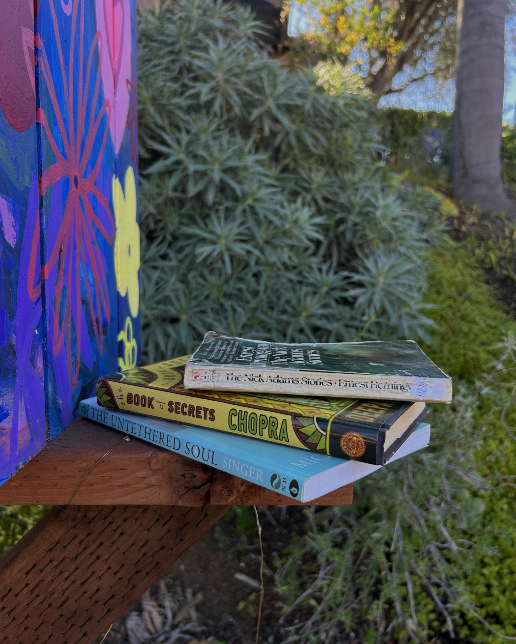 I was walking with no set destination and ran into this little library🥹 when u run into a deepak chopra and michael singer book you alr know it’s going to be a good book + receiving multiple dm’s saying to plsss pick the untethered soul?!?! I’m convinced. MUST READ! 

#LTKGiftGuide #LTKU #LTKTravel