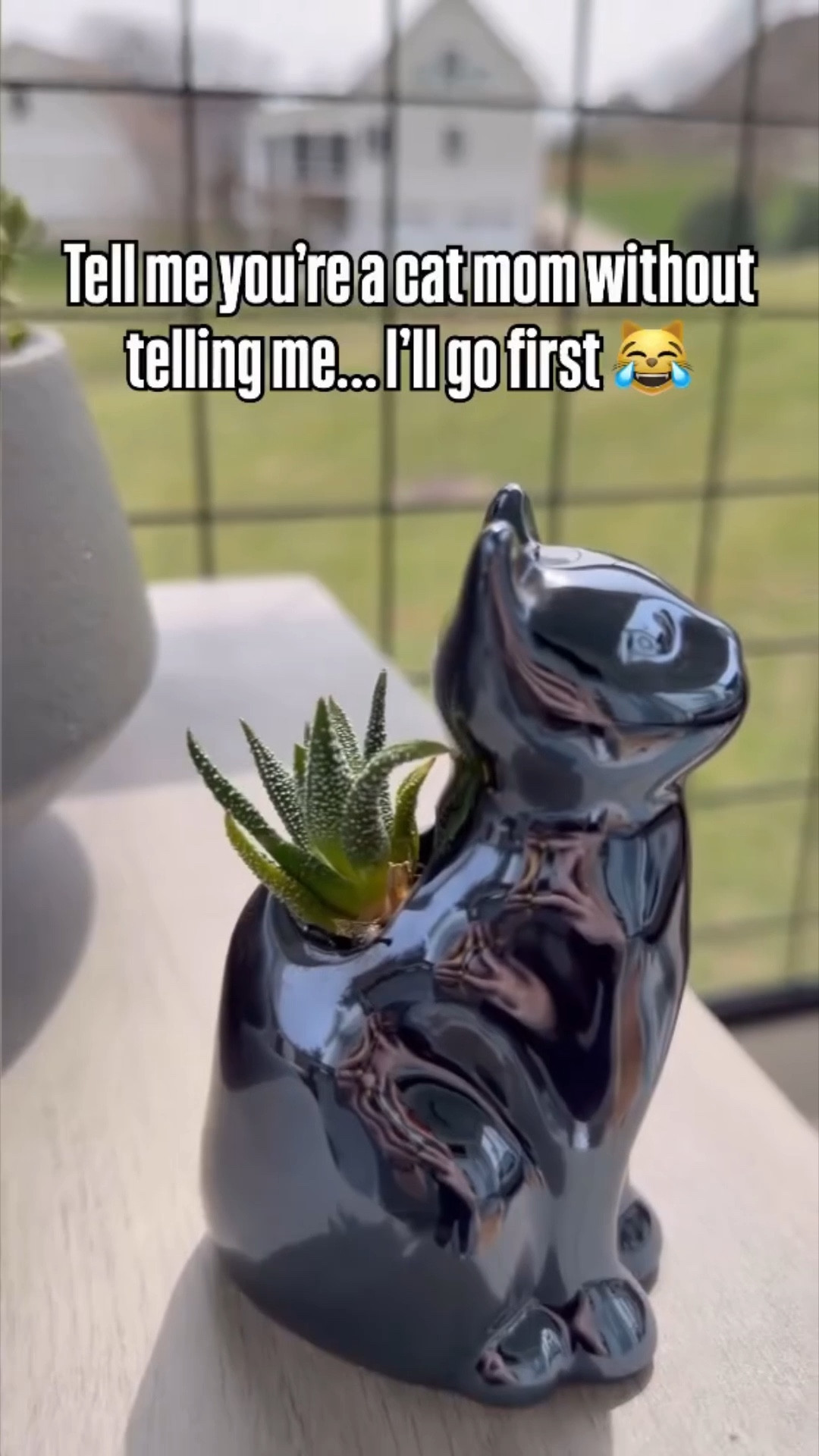 Excuse me @loweshomeimprovement… did you make these cat succulent planters just for me?! 😻 Because the SECOND I saw them, they went straight into my cart 🛒

If you’re a fellow cat lover + plant lover, you already know this was a non-negotiable purchase 💚 These adorable cat planters are the cutest way to decorate your porch, shelf, or plant corner, especially if your cats basically run the house like mine do 😹

My only regret? Not grabbing all 3 colors!! And of course I had to style them on our screened-in porch… aka my cats’ favorite hangout spot ☀️

✨ Perfect for: cat moms, plant lovers, cozy porch decor, and unique home finds

Comment SHOP below and I’ll send you the link! 🛍️ #lowespartner #catmomlife #lowesfinds #catmomprobs #catdecor