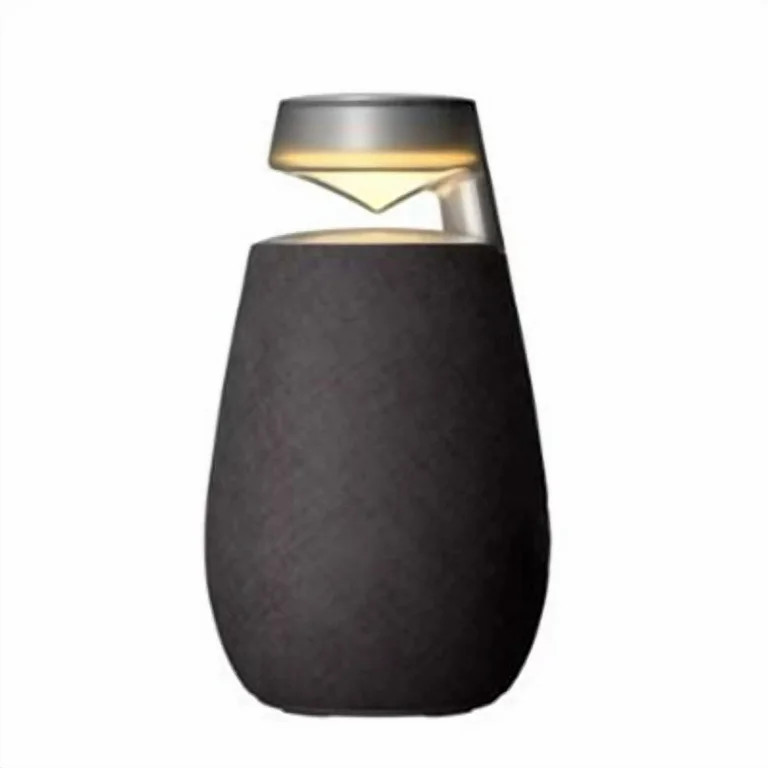 LG XO2TBK X Boom 360 XO2 Wireless Speaker - Black - Walmart.com | Walmart (US)