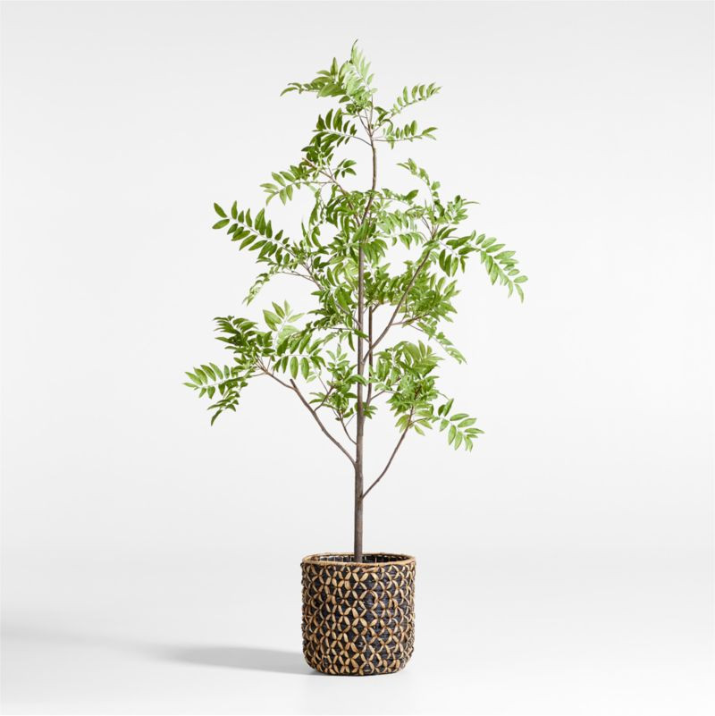Faux Sorbus Tree 8' | Crate and Barrel | Crate & Barrel