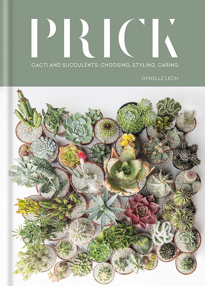 Prick: Cacti and Succulents: Choosing, Styling, Caring (MITCHELL BEAZLE)



Hardcover – October... | Amazon (US)